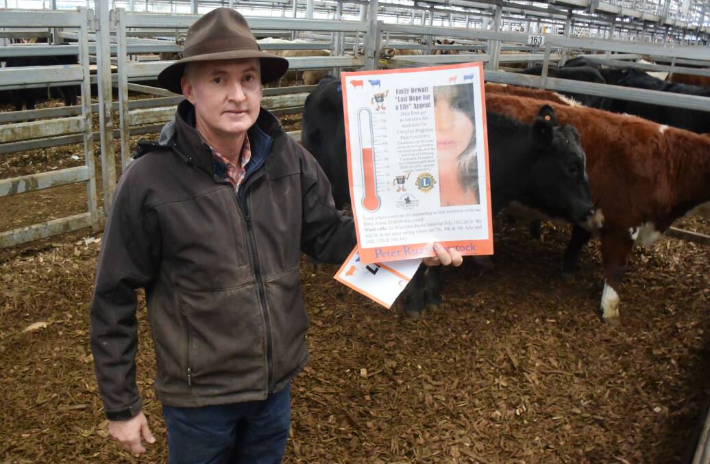 GOOD RESULT: Peter Ruaro, representing Costello Rural, sold an Angus steer for Emily Hewatt's appeal at the Northern Victoria Livestock Exchange on Tuesday.