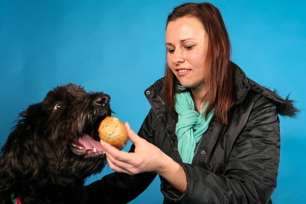 SWEET AS: Amy Moore gives Daphne the Groodle a pooch-friendly preview of the RSPCA Cupcake Day, taking place on Monday, August 21. Businesses are being encouraged to host their own fundraiser. Picture: JAMES WILTSHIRE