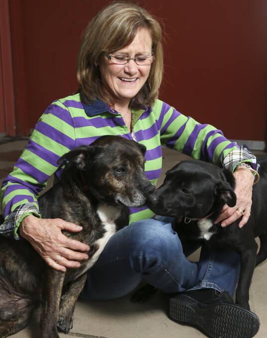 NEW START: Wodonga Dog Rescue president Peta McRae, with rescued dogs Monti and Trouble, is not surprised by the latest RSPCA statistics. Picture: ELENOR TEDENBORG