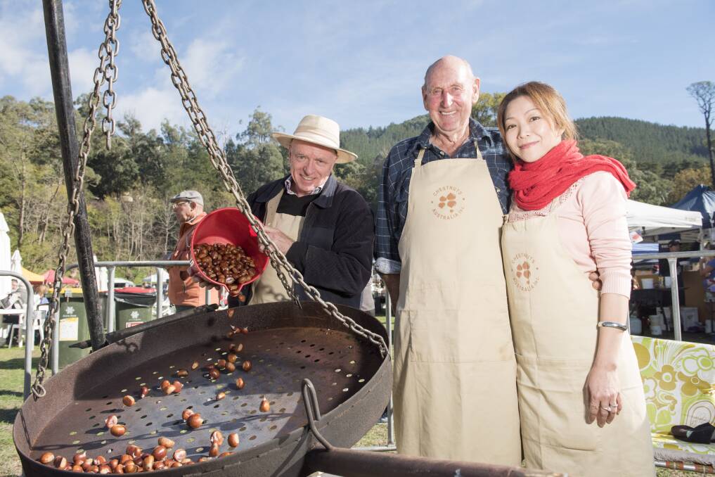 GOING NUTS: Don Arden, Tony McDonald and Lydia Moschis roast chestnuts at the Wandiligong Nut Festival. Picture: SIMON BAYLISS