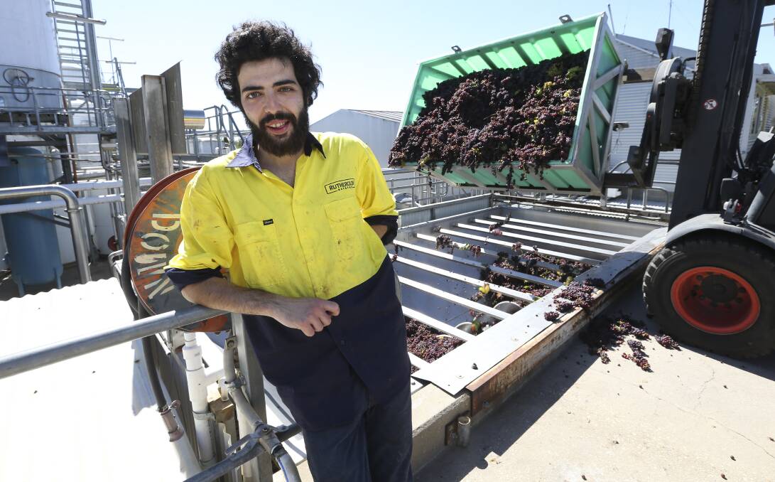 WINE-SAVY: Andrea Pucci, from Pisa in Italy, is currently working at the winery at Rutherglen Estates on a working holiday visa and says he was excited to come to Australia to work regardless of the tax. Picture: ELENOR TEDENBORG