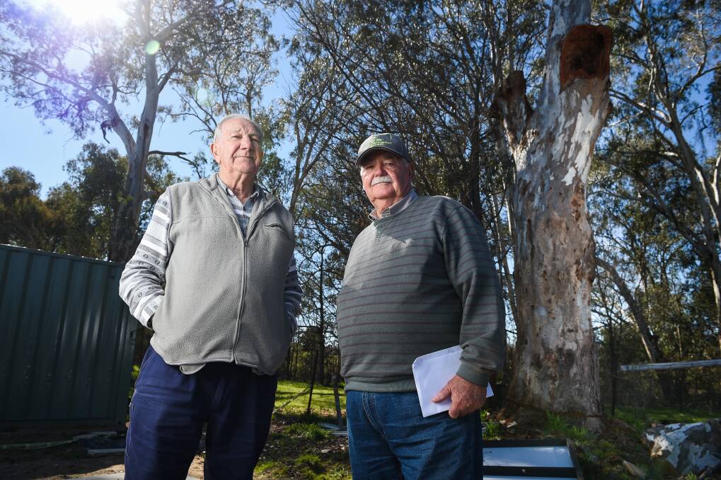 FED UP: Wahgunyah Men's Shed members Alan Pleitner and Len Carlson say not enough money is left to fit out their facility after paying offset fees to the government for a dangerous rotting tree, pictured. Picture: MARK JESSER