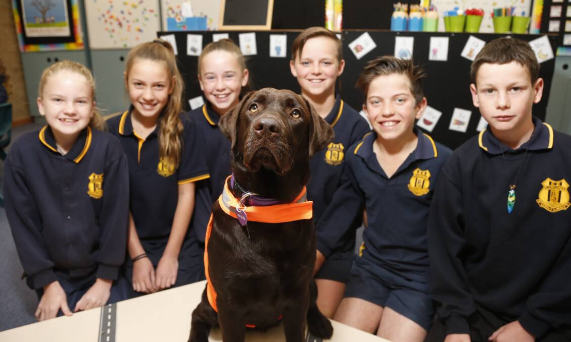 DOG'S LIFE: Corowa Public students Stacey Greaves, Keirra Gaffy, Chelsea Lee, Ethan Hanrahan, Taj Smith and Jude Kuschert with Willow. Picture: SIMON BAYLISS