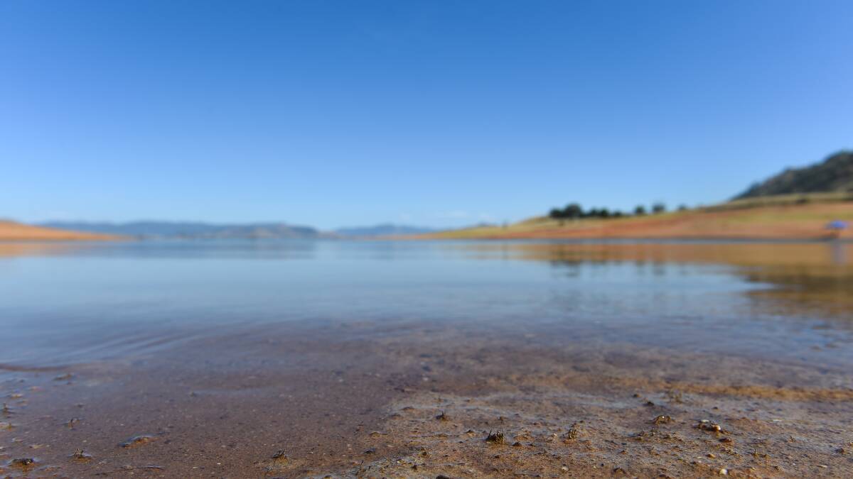 No updates after blue-green algae red alert issued for Lake Hume by Water NSW