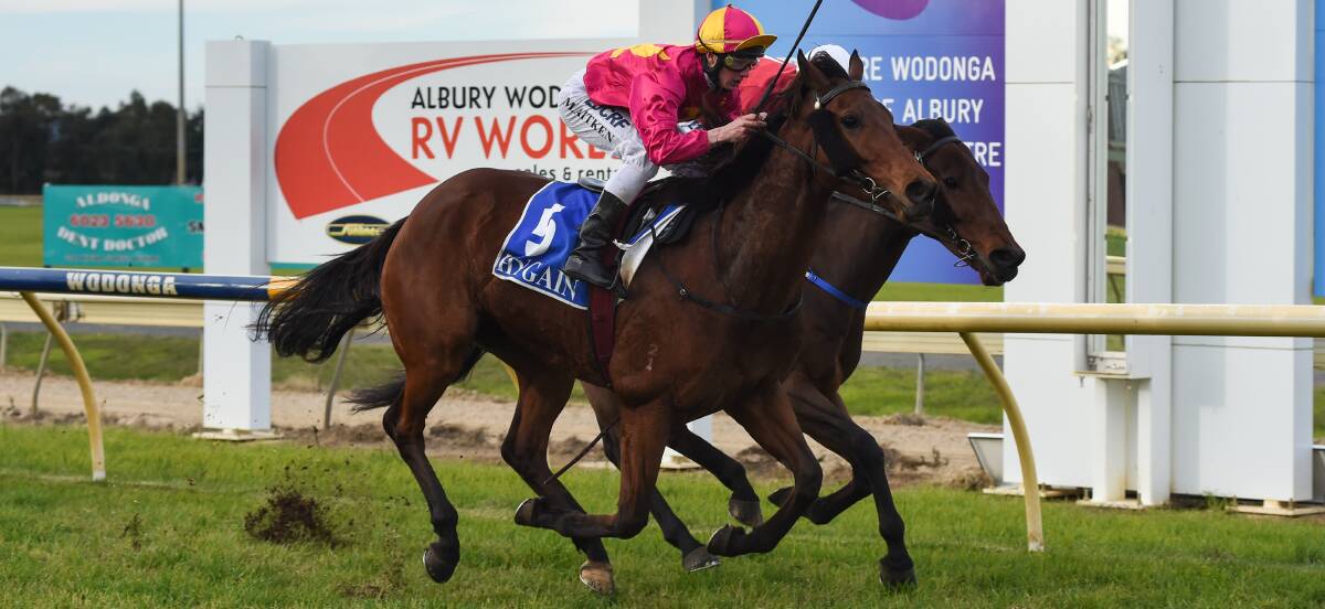 CLOSE ONE: James Fraser's Get Ya Kicks was too quick in the dying stages of race six at Wodonga, beating home Shelbyville in the $23,000 BM64 Handicap (2050).