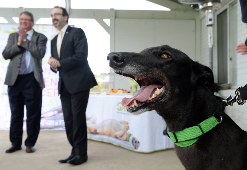 Racing Minister Martin Pakula at the opening of a new 50-kennel greyhound adoption facility at Mount Mercer. Picture: Kate Healy.
