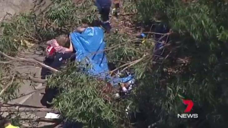 Teachers and emergency workers attend to a student hit by a tree branch at Heathcote High School. Photo: Seven News