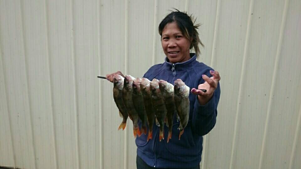 SUCCESS: Ted Jackson and his wife Maylin returned from a recent expedition with a nice haul of redfin. 