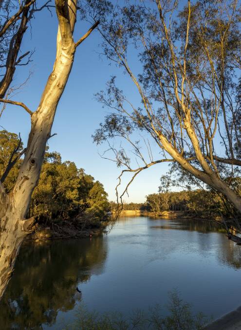 SHUNNED: Bureaucrats and political parties need to stop ignoring irrigators.