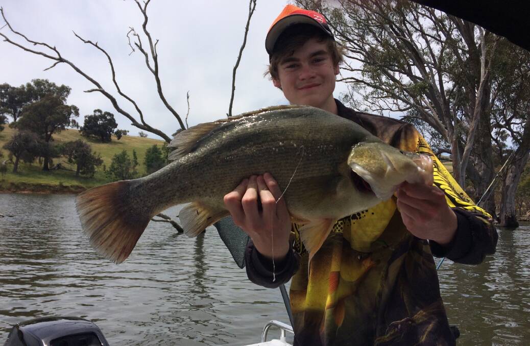 SUCCESS: Connor Heir caught and released this 58cm golden perch while trolling last week. You can send your fishing photos and stories to 0475 947 249 or 0475 953 605.