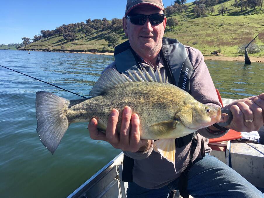 YOU BEAUTY: Reg Walsh caught this nice yellowbelly out at Lake Hume recently. Send your fishing photos, along with a few details, to 0475 947 279 or 0475 953 605.