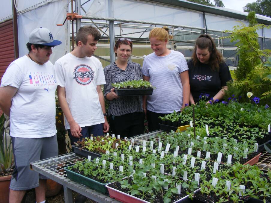 YOUNG SPROUTS: Students from the Pathway Skill Program at Wodonga TAFE (l-r) Mark Ross, Lewis Smedley, Theresa Jones, Georgia Cooper and Kiri McGuire, check out the vegetable seedlings in the TAFE nursery.  