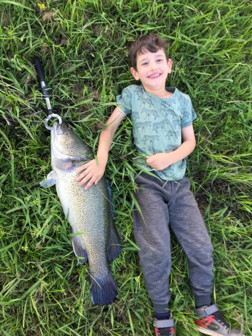 WHOPPER: Zac Djokic, 6, got an early Christmas present, catching and releasing his first ever Murray cod in the Ovens River near Myrtleford on Christmas Eve. 