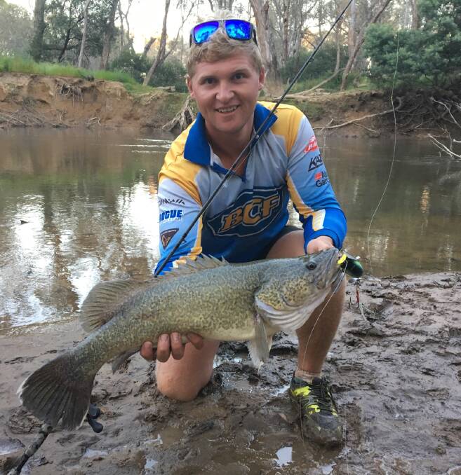 CODELICIOUS: Jack Drage, of Wodonga, caught this 62cm Murray cod during a recent expedition.