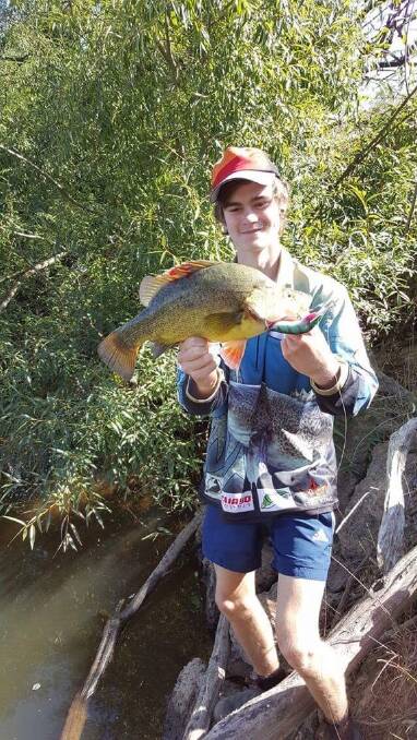 MORE SUCCESS: Connor Heir caught and released this nice river golden perch, taking a cod lure.