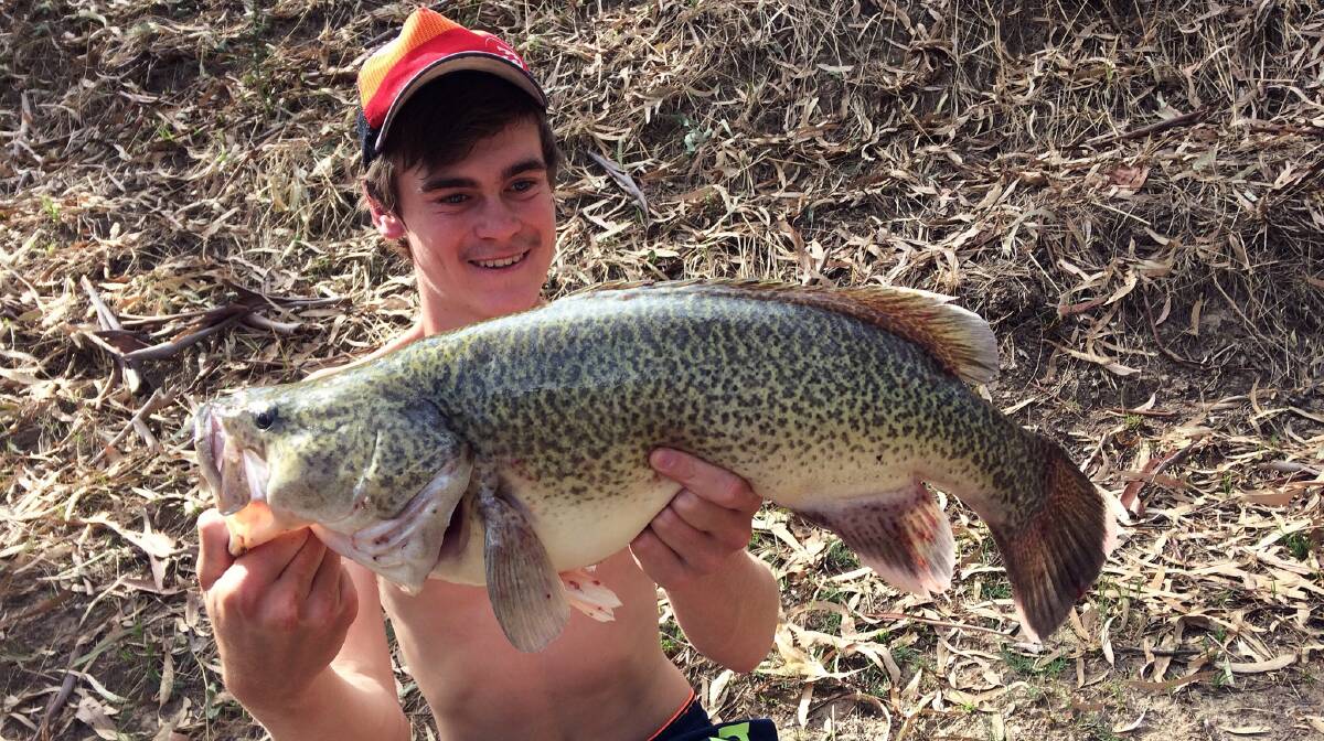 WHAT A CATCH: Regular contributor Connor Heir was all smiles after hooking this Murray cod recently. The fish, which he later released, measured in at 65 centimetres. 