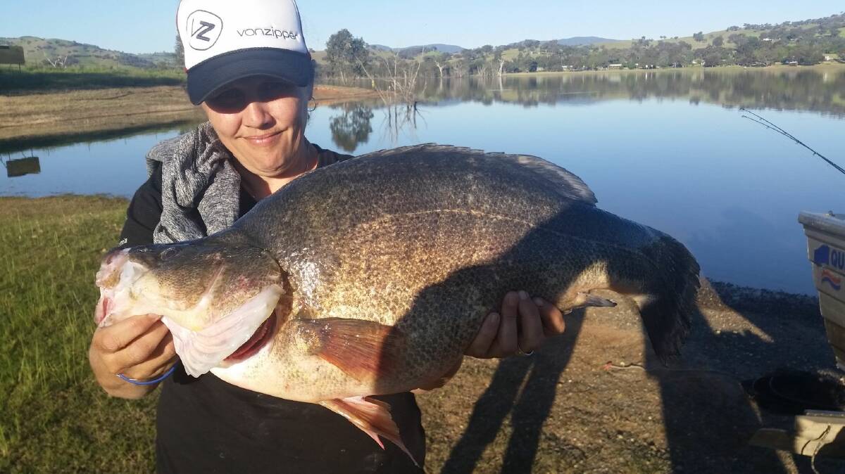 WHOPPER: Melissa Williams landed this 65 centimetre beast in Lake Hume recently. However, for those fishing for yellas, it's mostly been a different story.