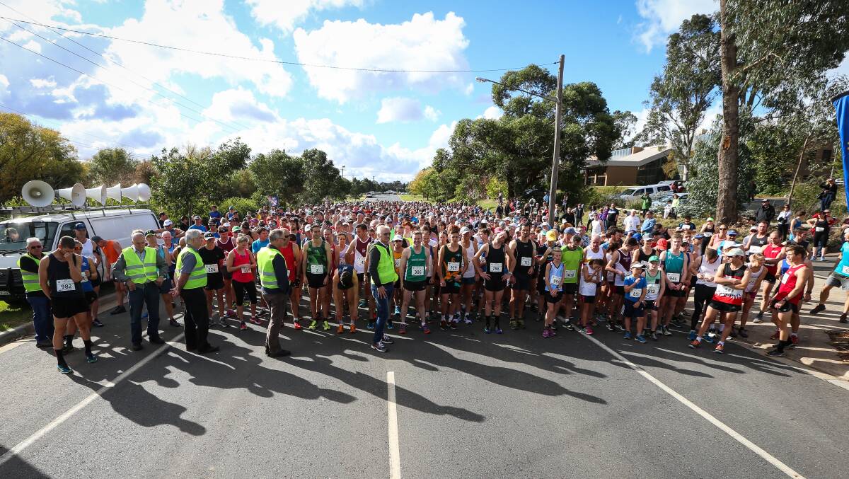 The Border Mail photographer James Wiltshire captured the start and mid-section of the 11 kilometre 2016 Nail Can Hill Run on Sunday.