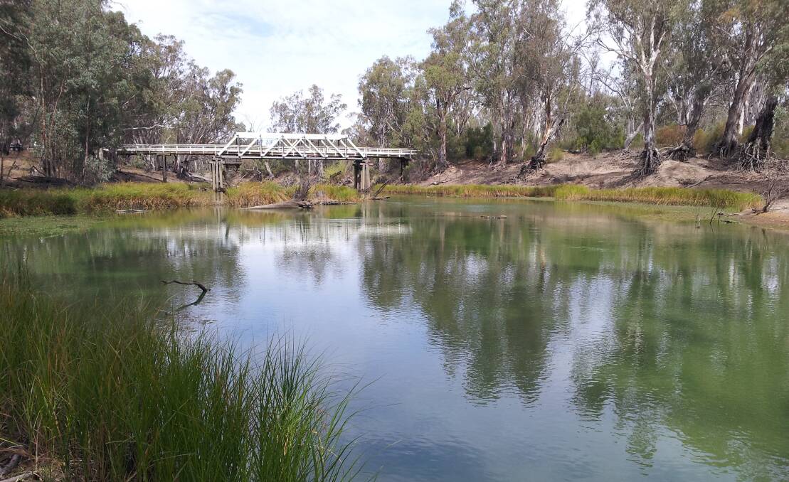 Wakool River near Gee Gee Bridge on March 28. Picture: ROBYN WATTS