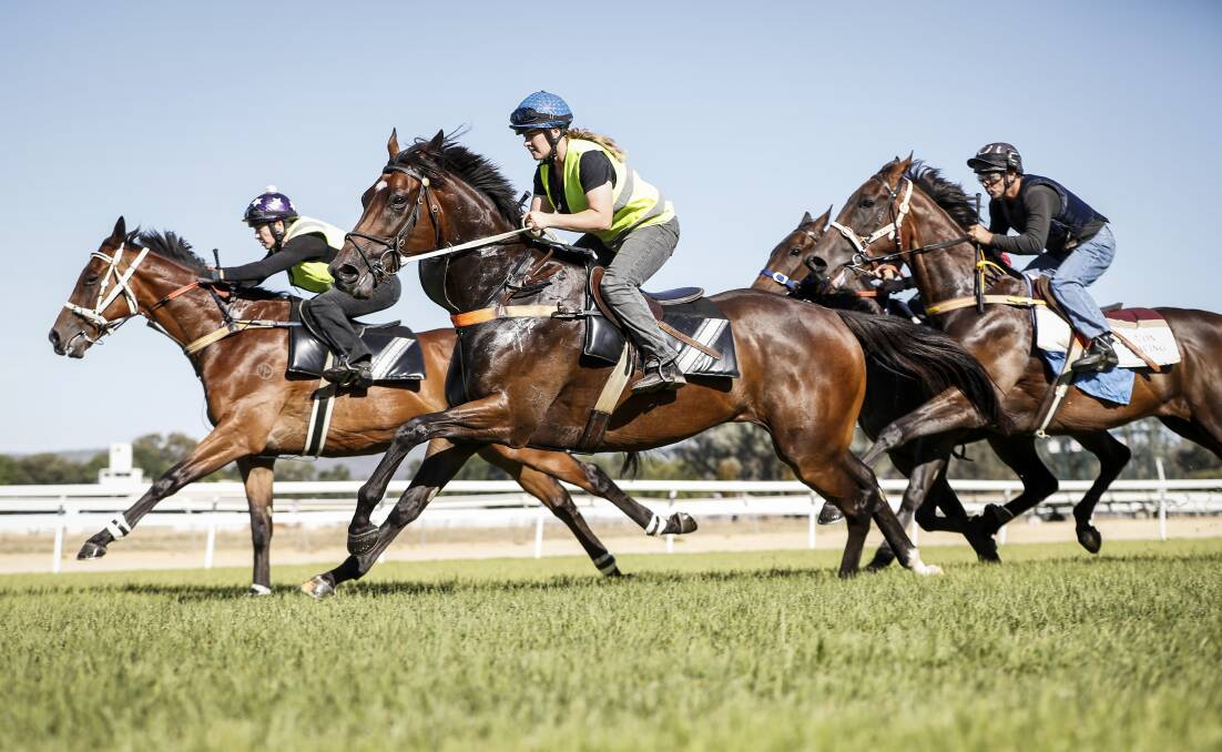 WELCOME SIGHT: Horses returned to Albury racecourse on Wednesday after major upgrade of the track in recent months. Picture: JAMES WILTSHIRE