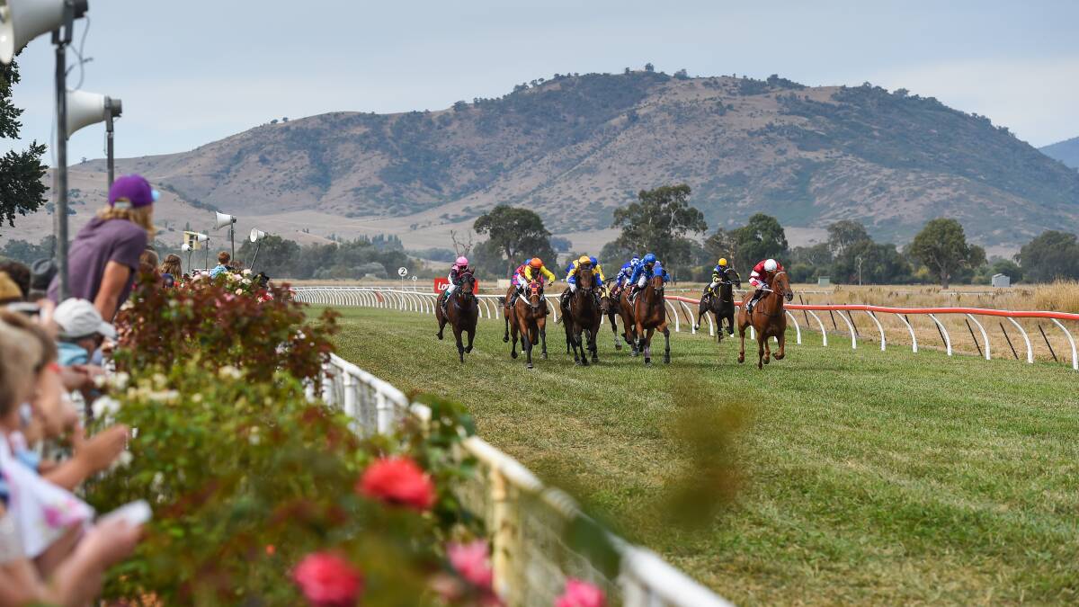 SHARING SPOILS: The Towong and Corowa cup meetings will both be held on Saturday with Corowa moving from its traditional Sunday timeslot in a move which has left punters torn on where to head.
