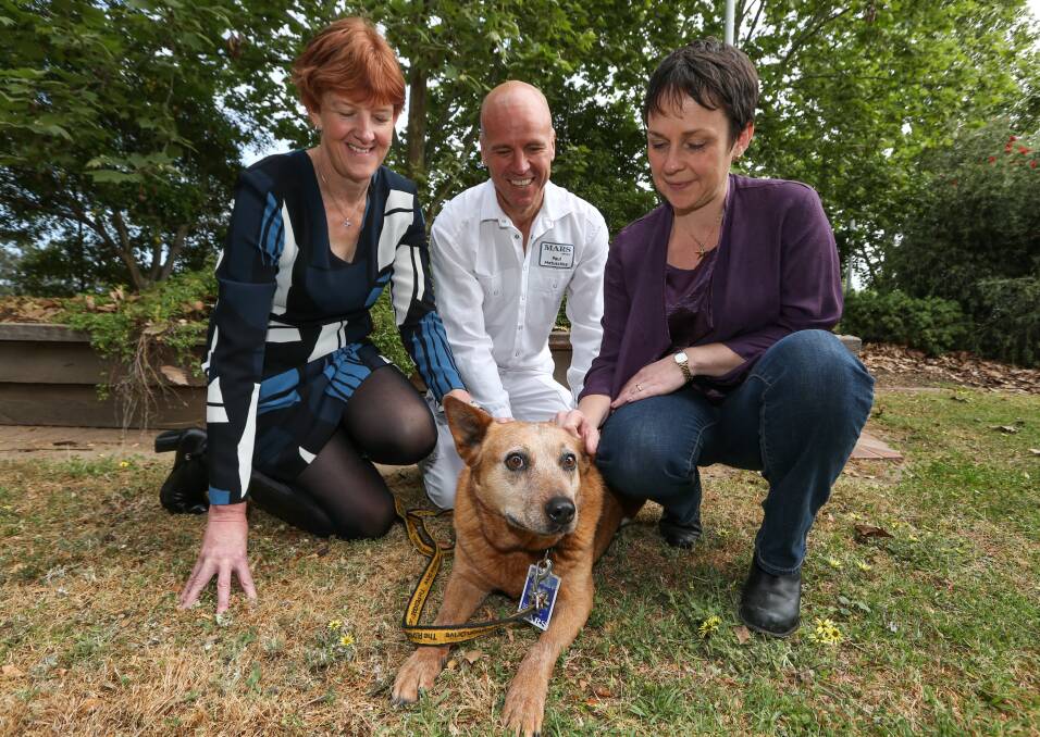 RED LETTER DAY: Mars Percare Australia Sylvia Burbery, Mars manager Paul Matuschka and his dog Kelly and Victorian regional development minister Jaala Pulford at the announcement of $52.5 million for an expansion of the Wodonga factory. Picture: JAMES WILTSHIRE
