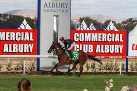 SPEED MACHINE: The Monstar is chasing back-to-back City Handicap wins on the first day of the Albury Gold Cup carnival on Thursday.