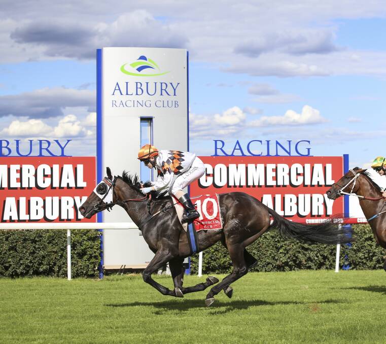 MAGIC MOMENT: Overdue is off to the Gold Cup on Friday for trainer Kym Davison after winning the $40,000 Albury Mile in commanding fashion on Sunday. Picture: JAMES WILTSHIRE
