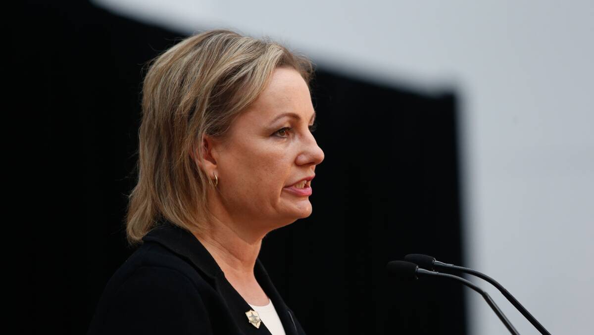 MINISTER RESPONDS: Sussan Ley has received a petition with almost 35,000 signatures and hundreds of stories from Lyme-like disease sufferers.