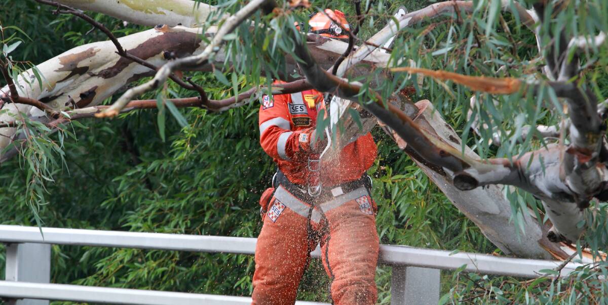 TRAIL OF DESTRUCTION: The SES received about 100 calls across the Border and North East following storm damage to trees, trains and roads throughout the region. Picture: BLAIR THOMSON