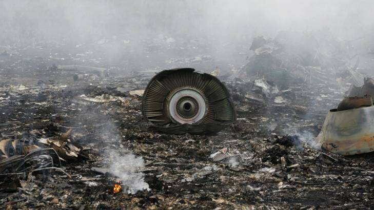 The site of a Malaysia Airlines Boeing 777 plane crash is seen near the settlement of Grabovo in the Donetsk region, July 17, 2014 Photo: Eryk Bagshaw