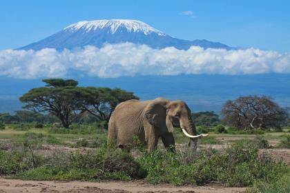 African Adventure: Save on an overland adventure through Kenya and Tanzania. Photo: Supplied