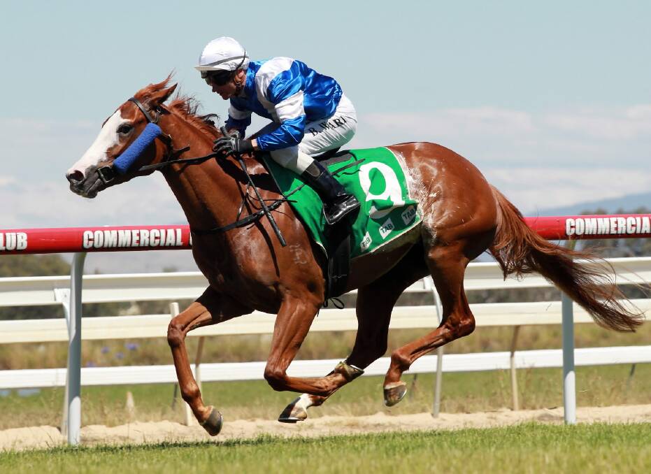 Shawqueeny and Canberra based jockey Brendan Ward made winning look easy as they cruised to the line at Albury on Saturday.
The big chestnut (8), trained at Tocumwal by Jim Cerchi Jr, gave the hard-working Ward his second win since returned to race riding when they won the $15,000 Class 2 Handicap (1175 metres).
It is a courageous comback by Ward who broke his neck in a race fall at Wagga in August.
Picture: KYLIE ESLER
