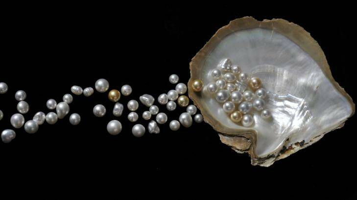 Broome pearls. Photo: Cygnet Bay Pearls