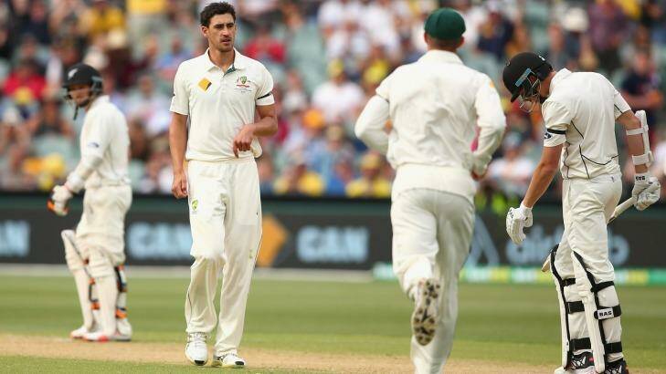 Australia's Mitchell Starc may return from injury by February. Photo: Cameron Spencer