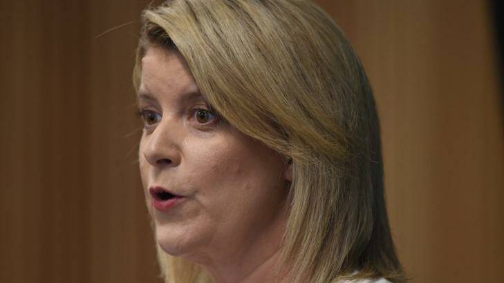 Natasha Stott-Despoja told the Lowy institute "there are people I have met and things I've seen in the last few years that have shaken me". Photo: Nick Moir