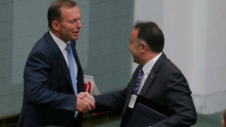 Mr Nikolic is close to former prime minister Tony Abbott. Photo: Alex Ellinghausen