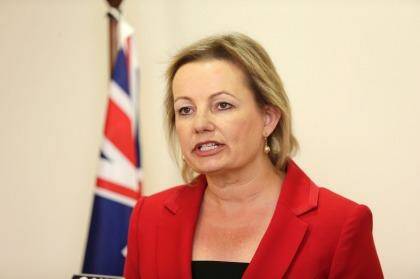 Heath Minister Sussan Ley will hold a press conference to outline the policy change on Tuesday afternoon. Photo: Eddie Jim