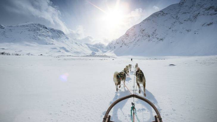 Into the wild: Alaska. Photo: Viaframe