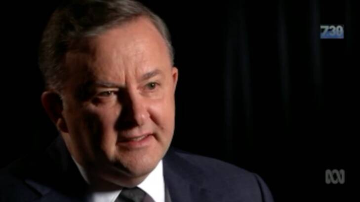 "As you get older, you get a need to discover where you're from, what your origins are.": Anthony Albanese. Photo: ABC