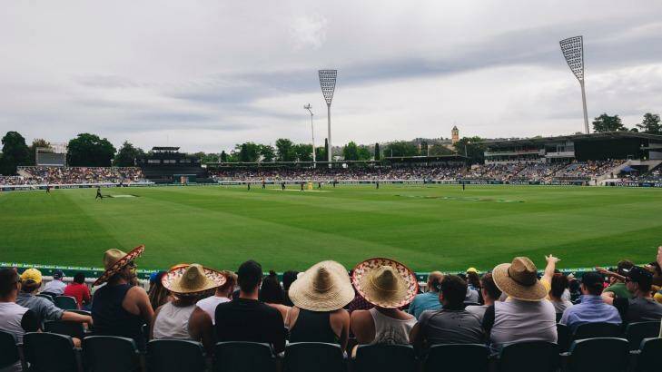 A man was ejected from Manuka Oval during the second ODI between Australia and New Zealand on Tuesday. Photo: Rohan Thomson