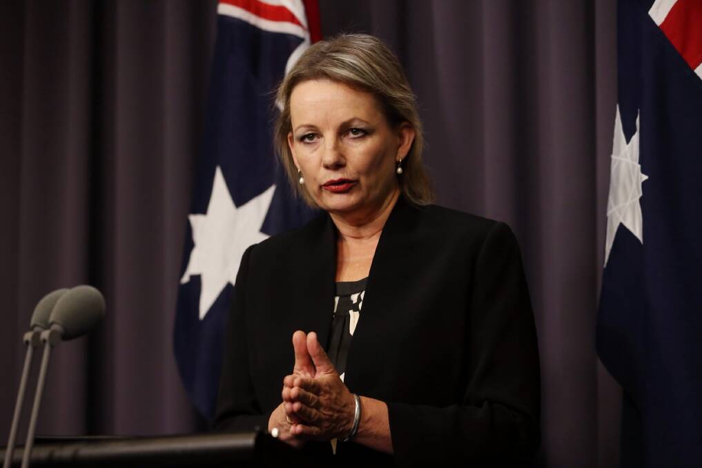 Member for Farrer Sussan Ley: Labor is proposing a carve-up of her seat.