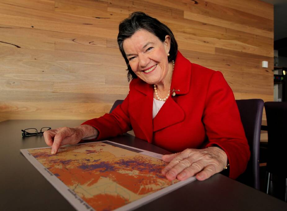 Cathy McGowan has backed the ABC as a public broadcaster not a state one. Picture: DAVID THORPE