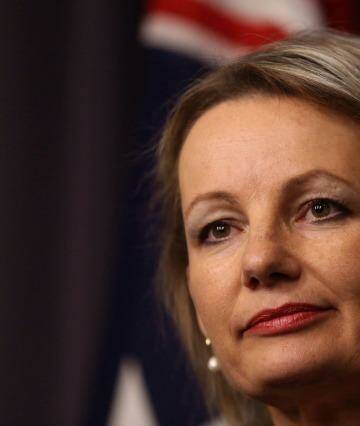 Sport  Minister Sussan Ley said it was ''inappropriate to be talking about putting more taxpayers' funds into a rebid when we have serious allegations about corruption unfolding''. Photo: Andrew Meares