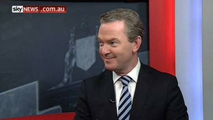 Education Minister Christopher Pyne during Monday afternoon's interview. Photo: Sky News