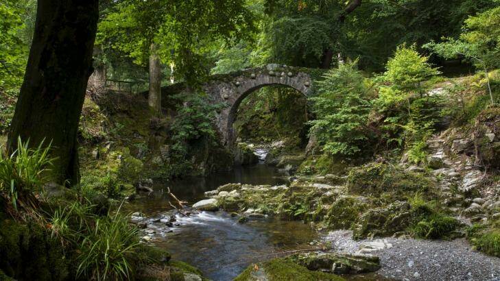 Tollymore Forest Park, County Down: 
Where the night watchmen first see the white walkers.  Photo: Chris Hill