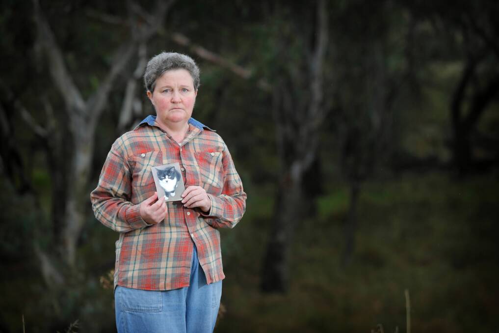 Mary Maloney is devastated hunters would deliberately shoot her cat, Socks, so close to her house on a Walla farm. Picture: TARA GOONAN