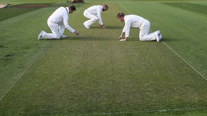 Strip search: Steve Smith, Nathan Lyon and David Warner of Australia inspect the wicket at Basin Reserve. Photo: Ryan Pierse