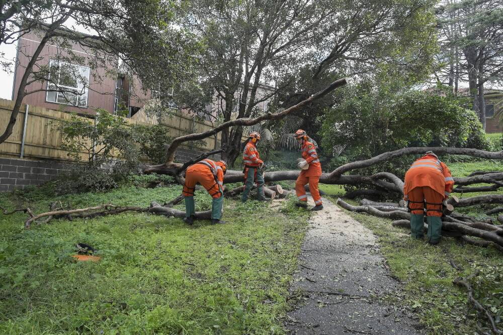 Albury volunteers assisted with clearing fallen trees.