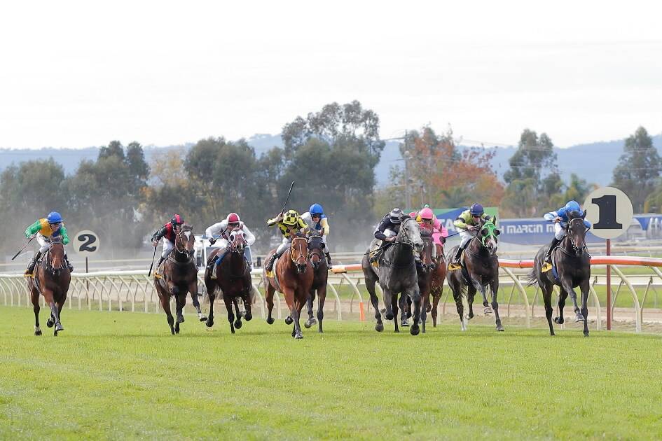 The Gary Sherer-trained Not Too Sure gains the upper hand over the concluding stages to defeat the Brian Cox-trained Bay Of Biscay at Wodonga yesterday. Ridden by Jake Duffy, the victory was the first leg of a running double after the pair combined to also win with Pakari Toa. Picture: TARA GOONAN